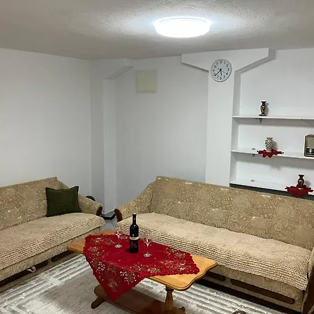 公寓 Studio Apartman Vlasic 弗拉西克